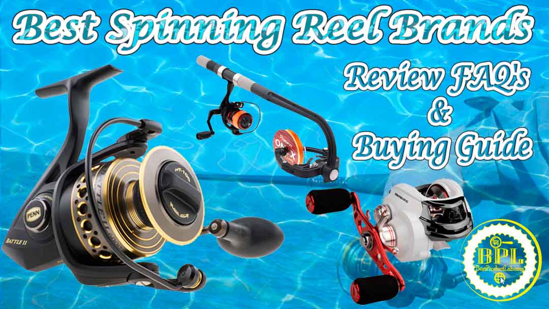 Best Spinning Reel Brands