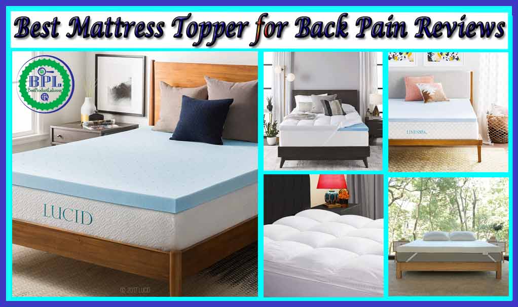 10 Best Mattress Topper for Back Pain Review of 2022