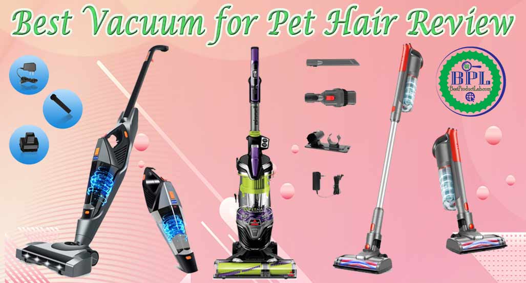 10 Best Vacuum for Pet Hair Brands Review of 2023 Budget Vacuum for